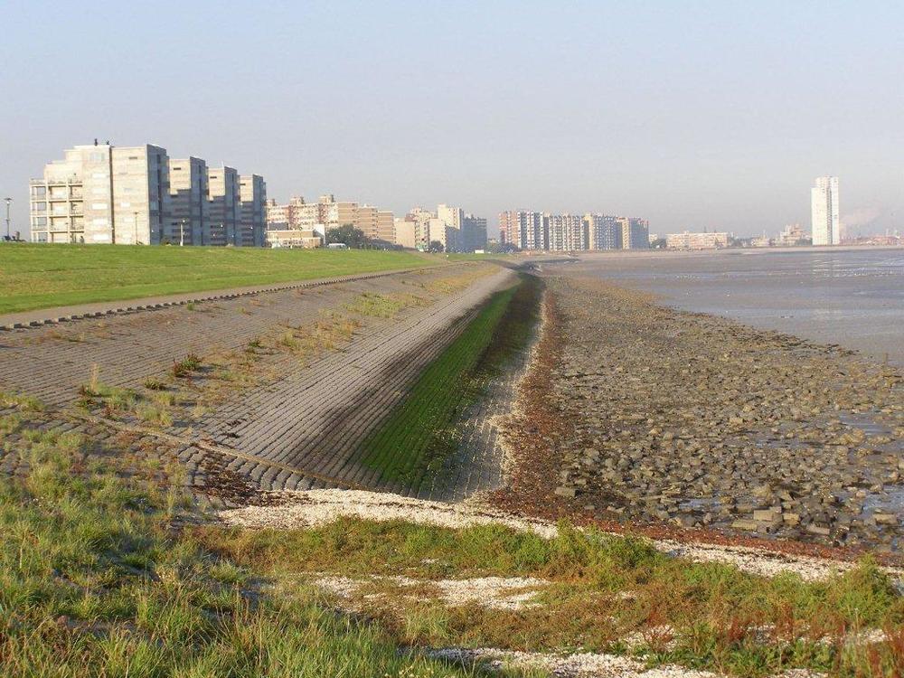 Hotel De Blaauwe Leeuw Terneuzen Bagian luar foto