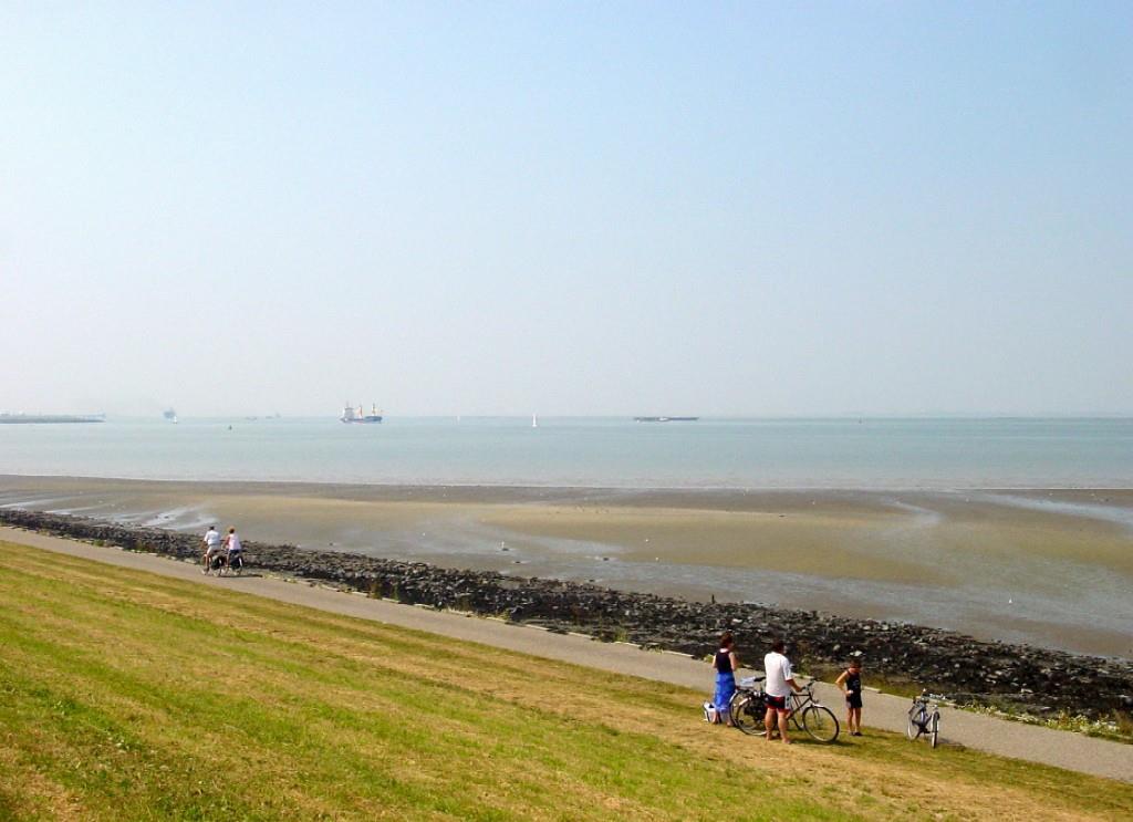 Hotel De Blaauwe Leeuw Terneuzen Bagian luar foto