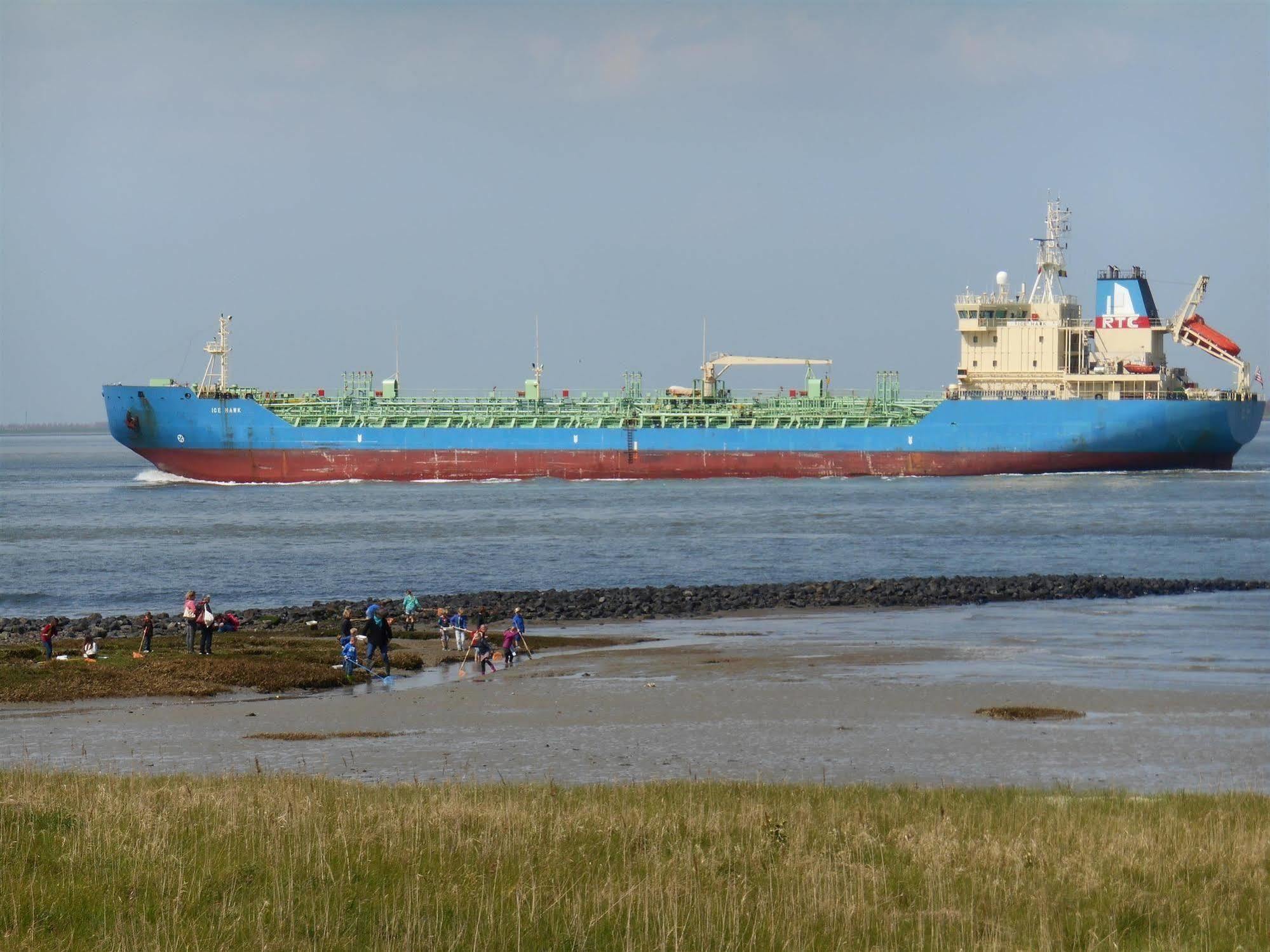 Hotel De Blaauwe Leeuw Terneuzen Bagian luar foto